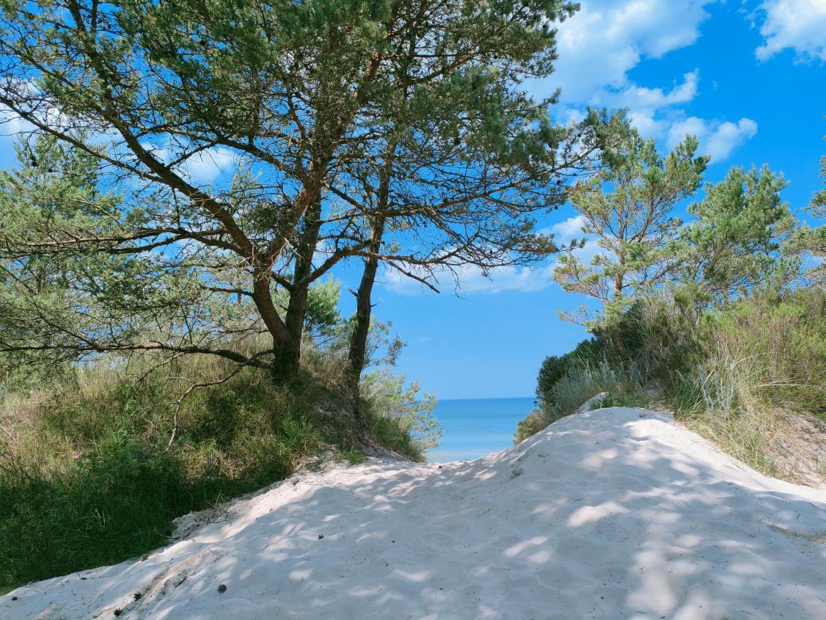 Slonce I Woda Domki Caloroczne, Klimatyzacja, Podgrzewany Basen, Bezplatny Parking Łeba Εξωτερικό φωτογραφία